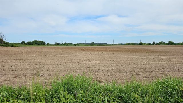 Działka rolna Dziubiele. Zdjęcie 22