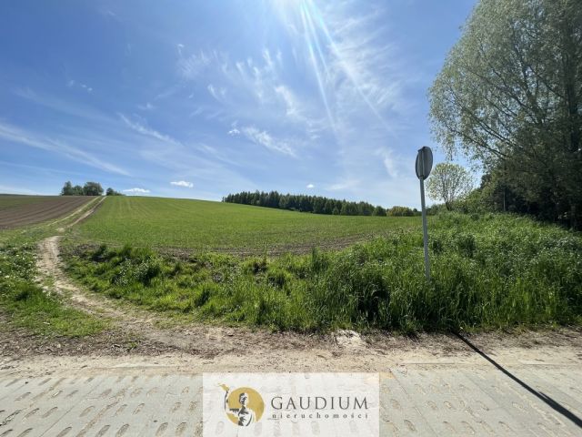 Działka Zła Wieś. Zdjęcie 3