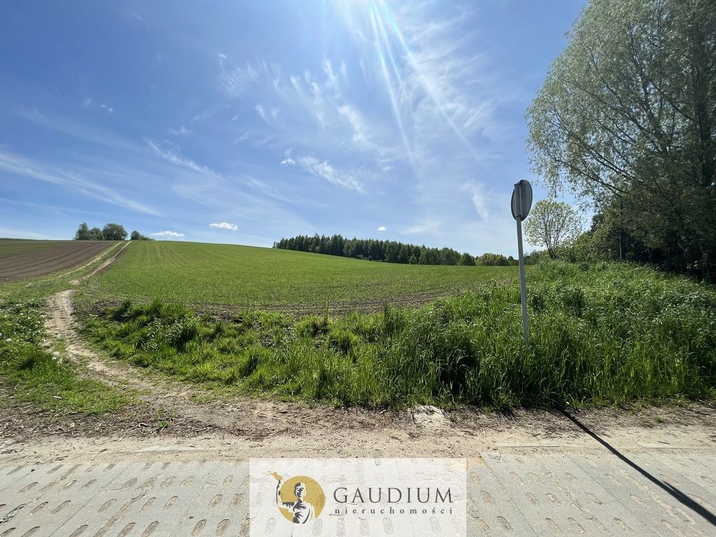 Działka Zła Wieś. Zdjęcie 3