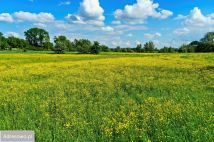 Działka rolna Kuźnica Grodziska