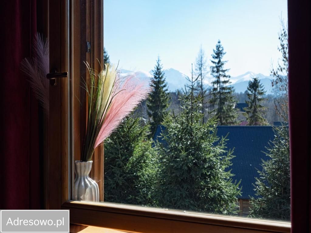 dom wolnostojący, 10 pokoi Zakopane, ul. Harenda. Zdjęcie 10