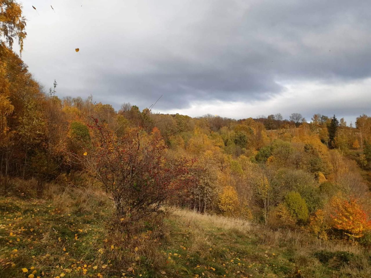 Działka budowlana Rościszów. Zdjęcie 7