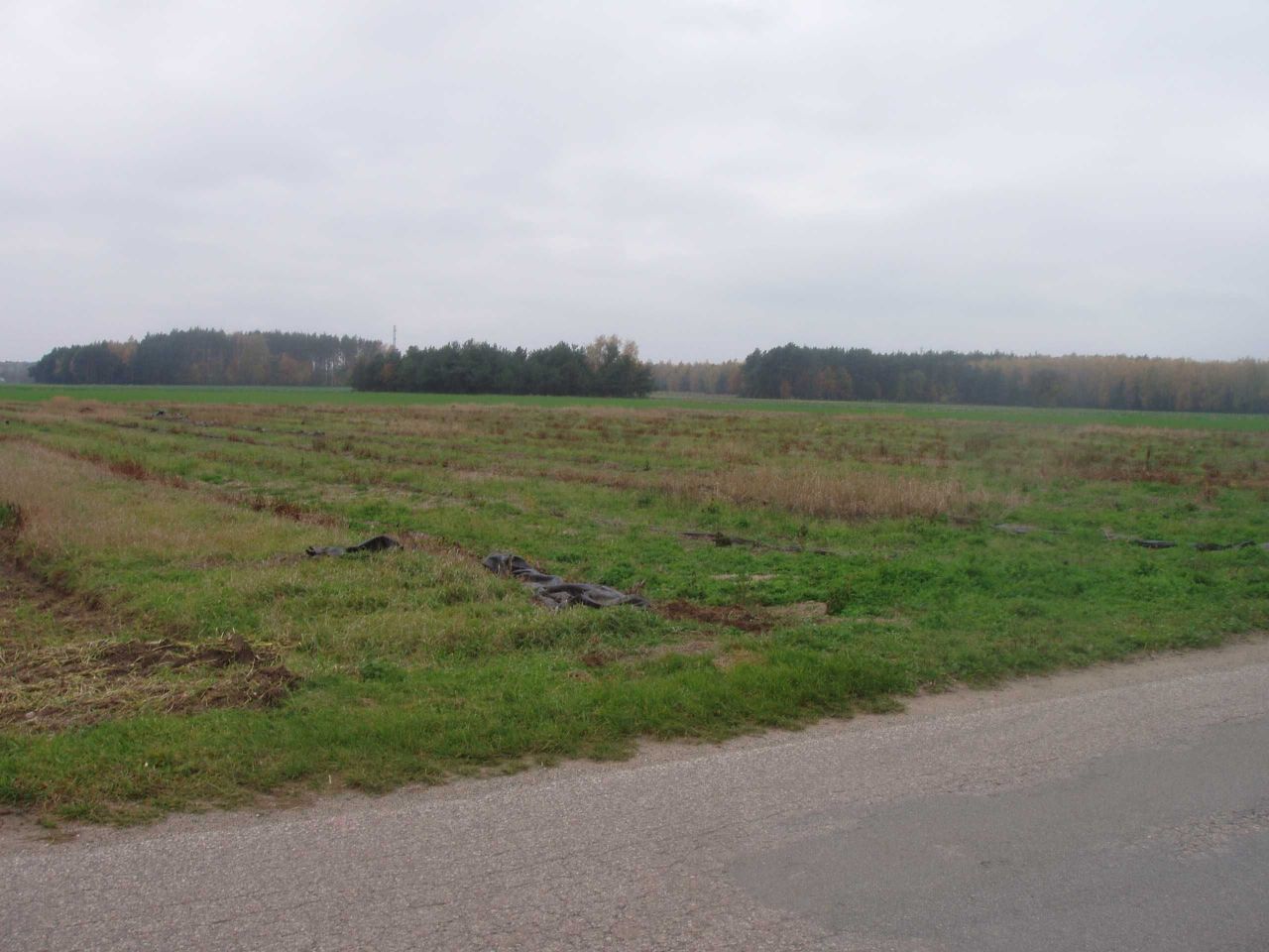 Działka inwestycyjna Lorcin. Zdjęcie 1