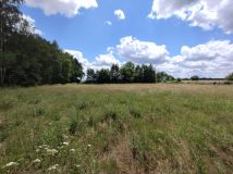 Działka budowlana Brzeziny. Zdjęcie 1