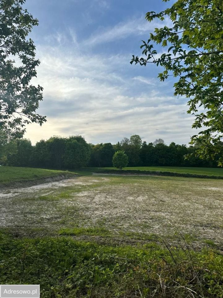 Działka rolno-budowlana Lipsko-Polesie. Zdjęcie 3