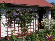 Działka rekreacyjna Skarżysko-Kamienna Dolna Kamienna, ul. Piękna. Zdjęcie 2