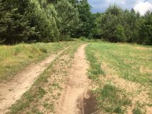 Działka rolna Plichta. Zdjęcie 3