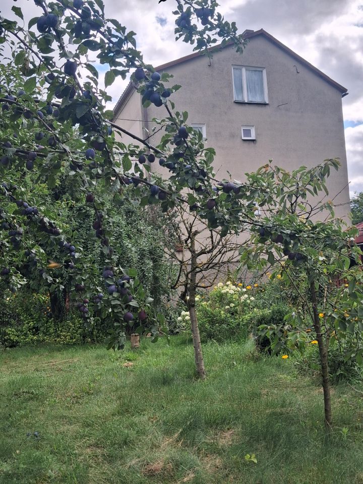 bliźniak, 5 pokoi Smardzewo. Zdjęcie 5