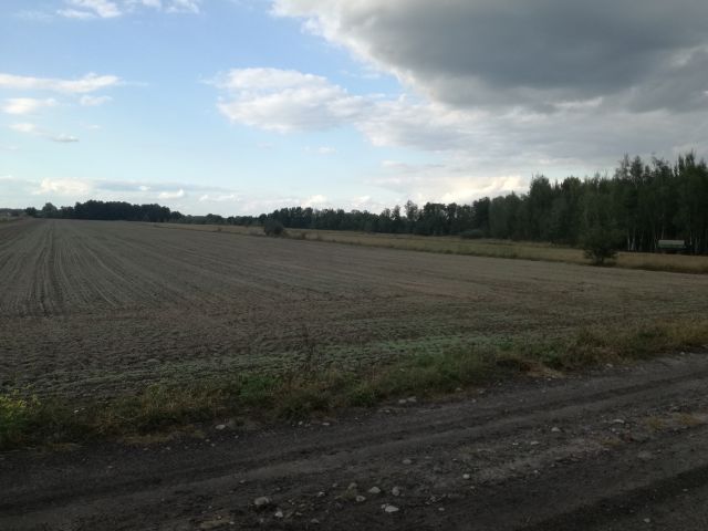 Działka rolna Wola Prażmowska, ul. Południowa. Zdjęcie 1