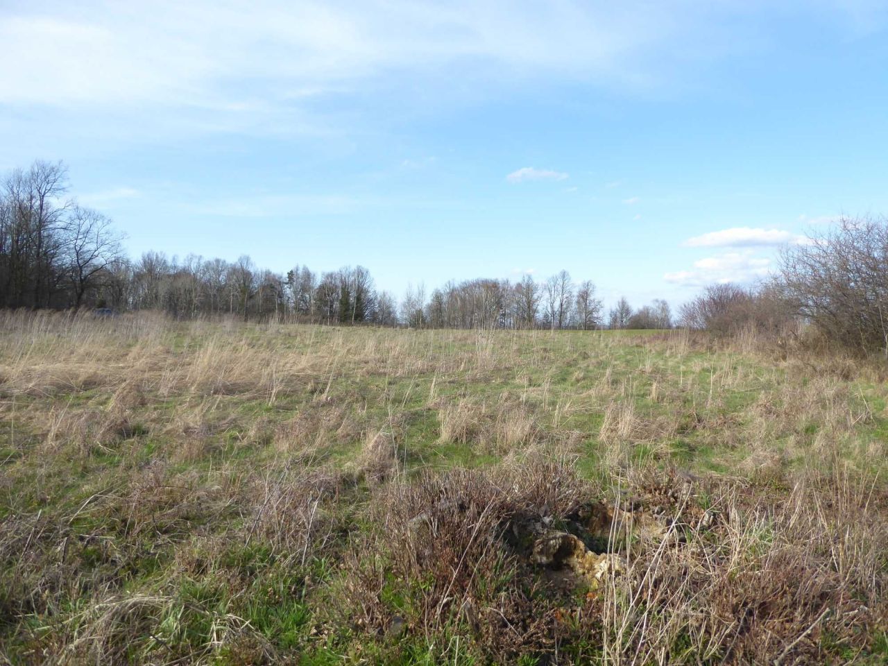 Działka rekreacyjna Koclin. Zdjęcie 6