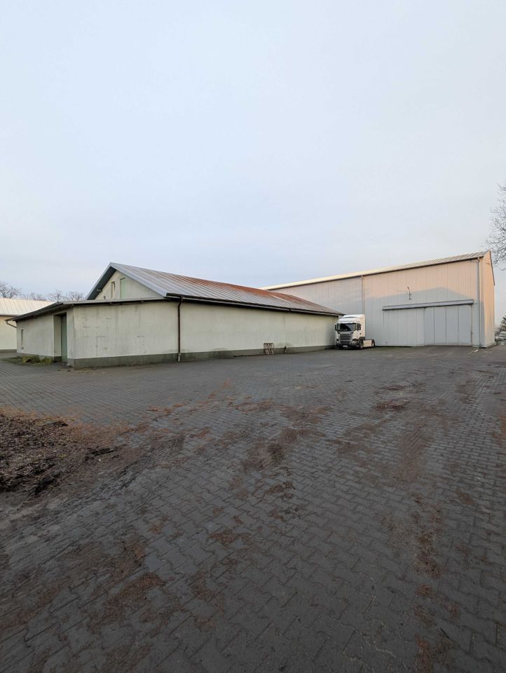Hala/magazyn Żanęcin. Zdjęcie 3