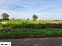 Działka budowlana Ostrowite. Zdjęcie 1