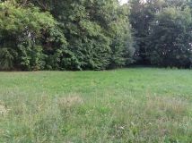 Działka rolno-budowlana Jasnopole. Zdjęcie 1