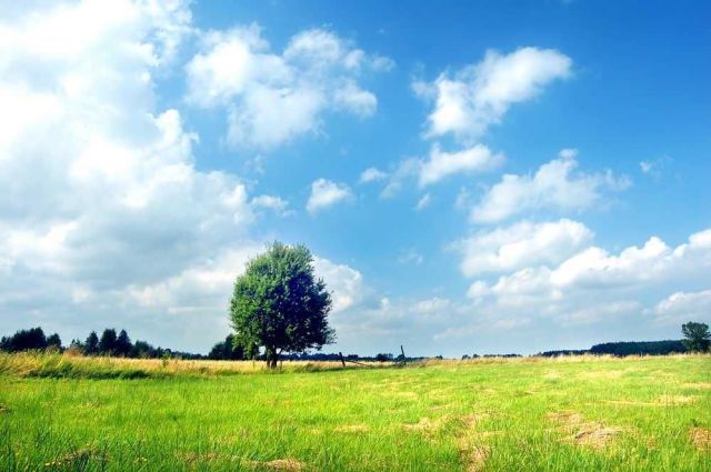 Działka budowlana Łochowo, ul. Pantery. Zdjęcie 1