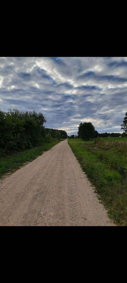 Działka rolno-budowlana Strzegocin. Zdjęcie 3