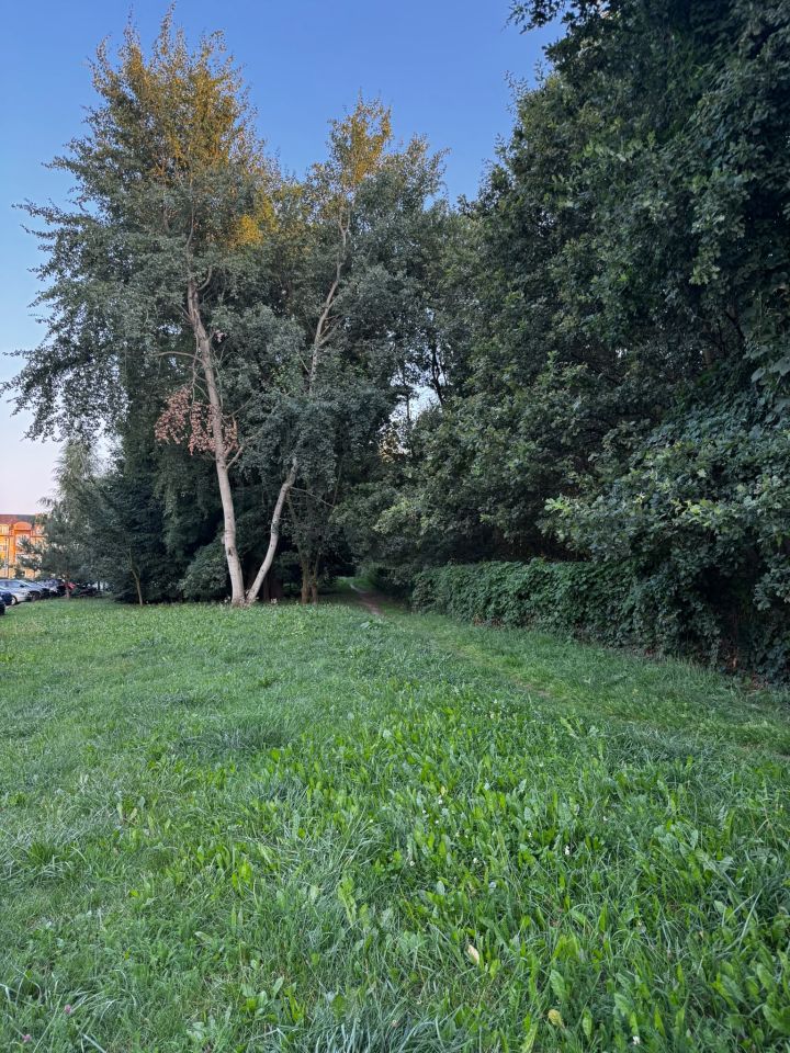 Mieszkanie 1-pokojowe Wrocław Maślice, ul. Augustowska. Zdjęcie 11