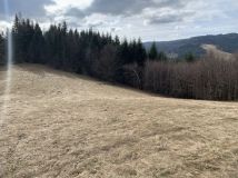 Działka rolna Lubomierz. Zdjęcie 4