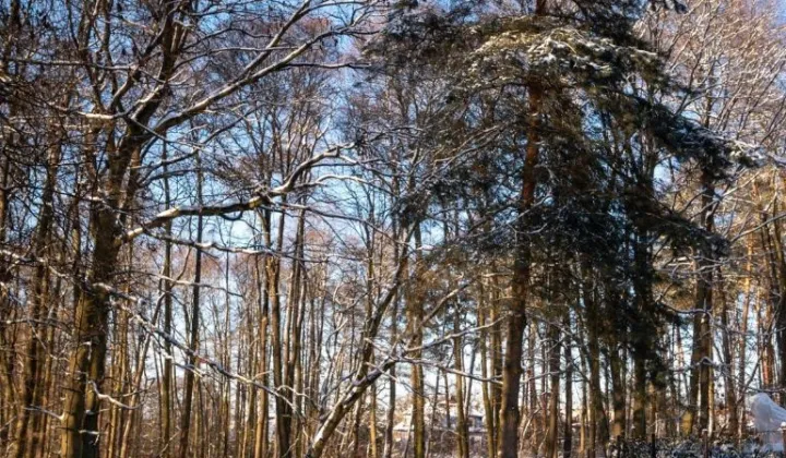 Działka budowlana Pilchowo, ul. Widokowa