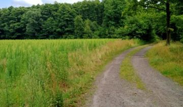 Działka rolna Dębina