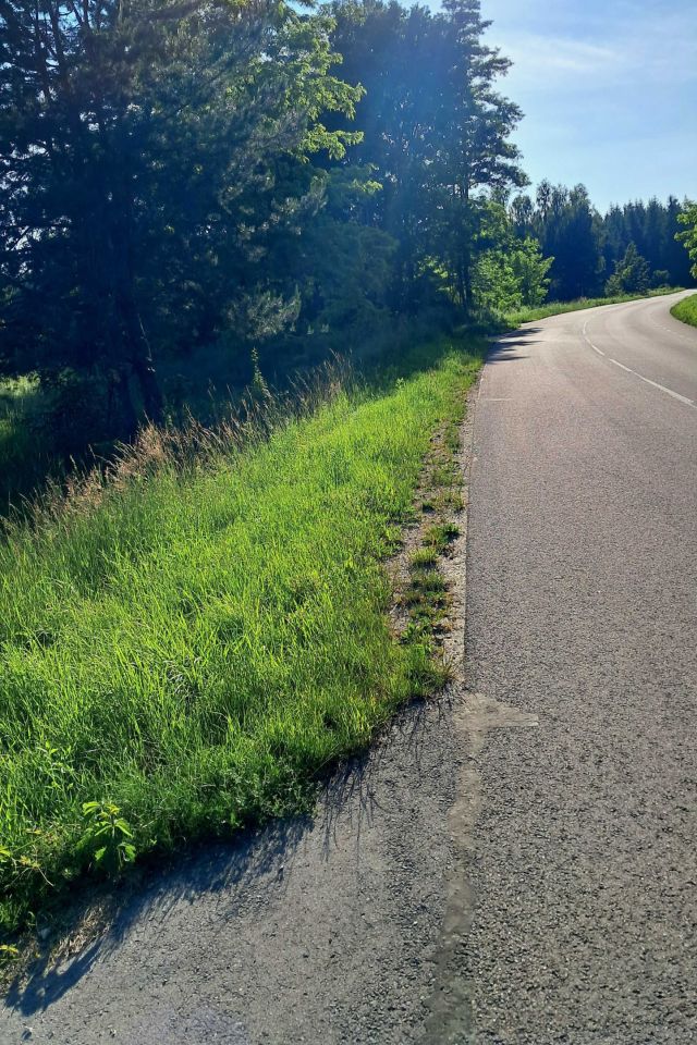 Działka rolna Wieprzów Tarnawacki Skrzypny Ostrów. Zdjęcie 4
