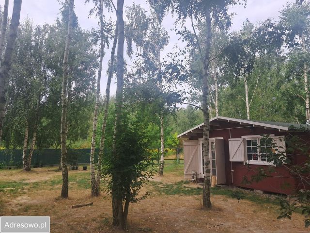 Działka rolno-budowlana Strojec, ul. Zacisze. Zdjęcie 9