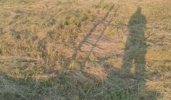 Działka budowlana Kłodawa, ul. Malinowa