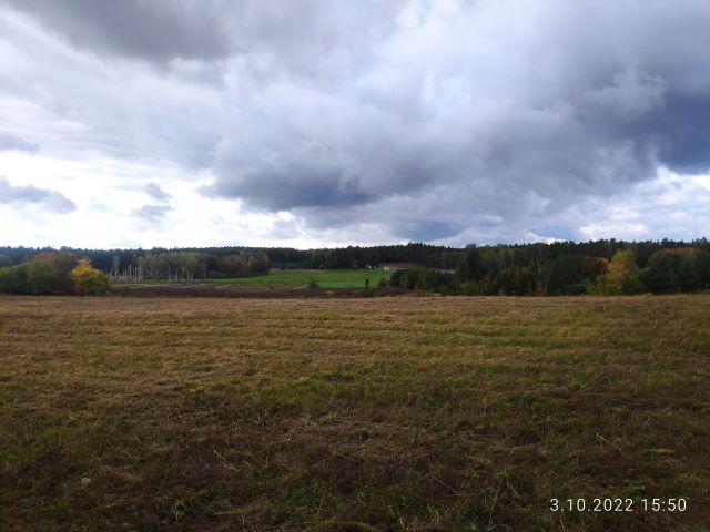 Działka budowlana Turowo. Zdjęcie 1