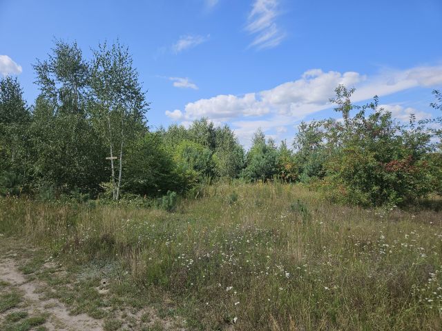 Działka budowlana Modzele-Bartłomieje. Zdjęcie 4