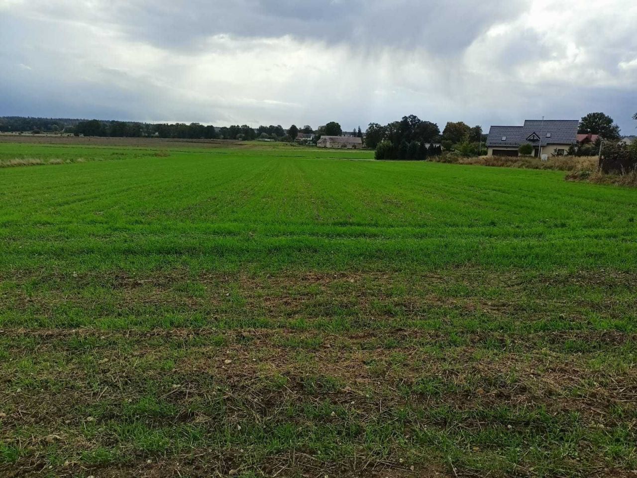 Działka budowlana Łaziska. Zdjęcie 5