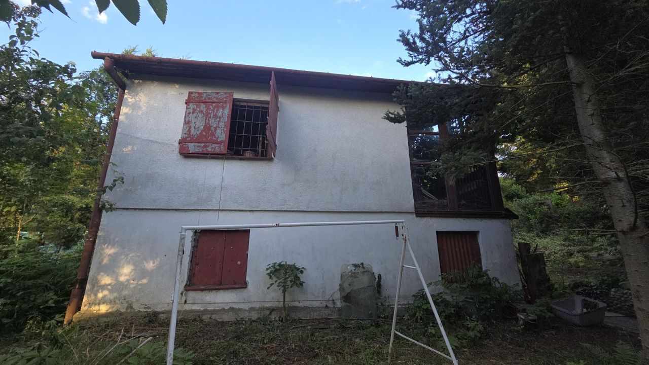 Działka rod Sygneczów