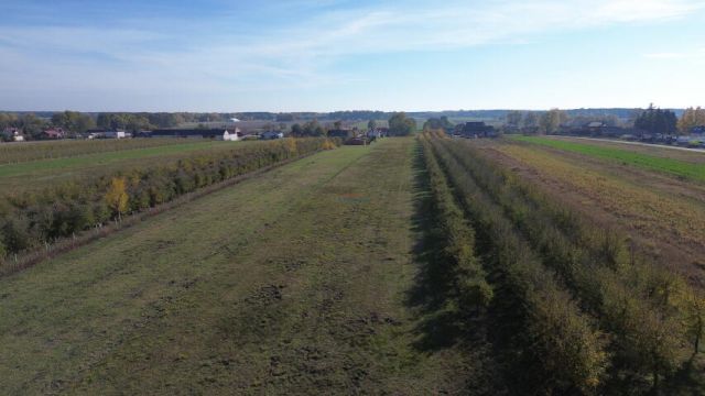 Działka budowlana Wola Prażmowska. Zdjęcie 2