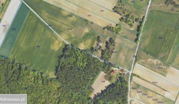 Działka rolna Drozdowo