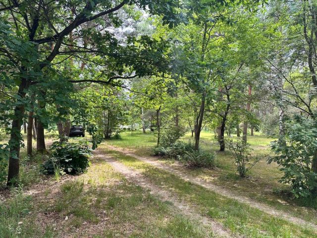 Działka inwestycyjna Złotokłos. Zdjęcie 3