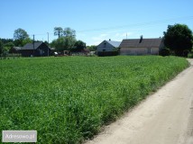 Działka budowlana Omięciny. Zdjęcie 1