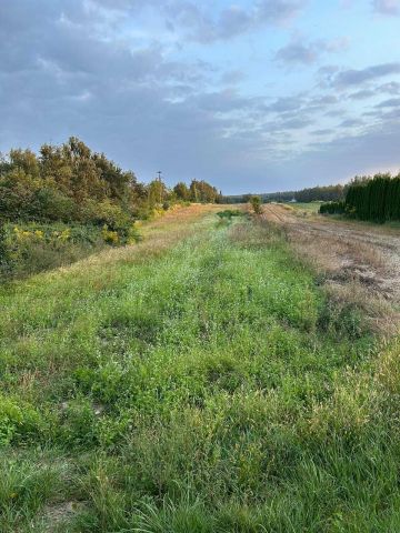 Działka rolno-budowlana Wierzchlas, ul. Leśna. Zdjęcie 1