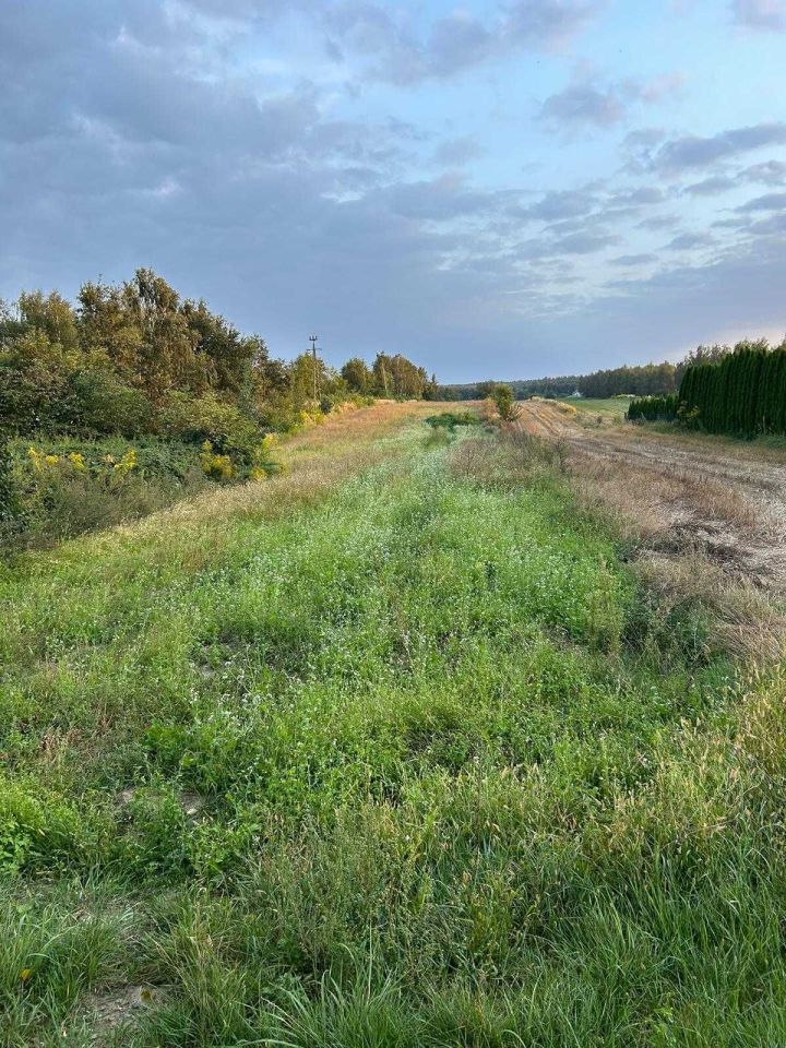 Działka rolno-budowlana Wierzchlas, ul. Leśna