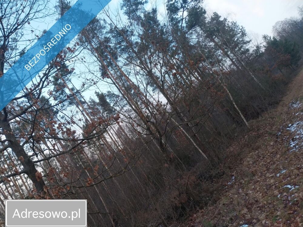 Działka rolna Marysin. Zdjęcie 6