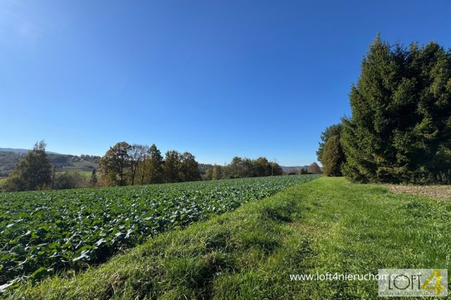 Działka budowlana Tuchów, ul. Ryglicka. Zdjęcie 1
