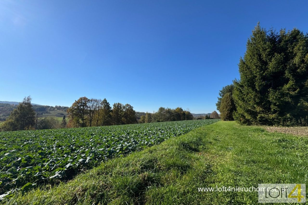Działka budowlana Tuchów, ul. Ryglicka