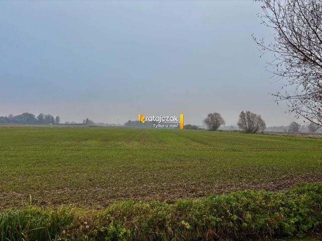 Działka budowlana Drewnica, ul. Wierzbowa. Zdjęcie 3