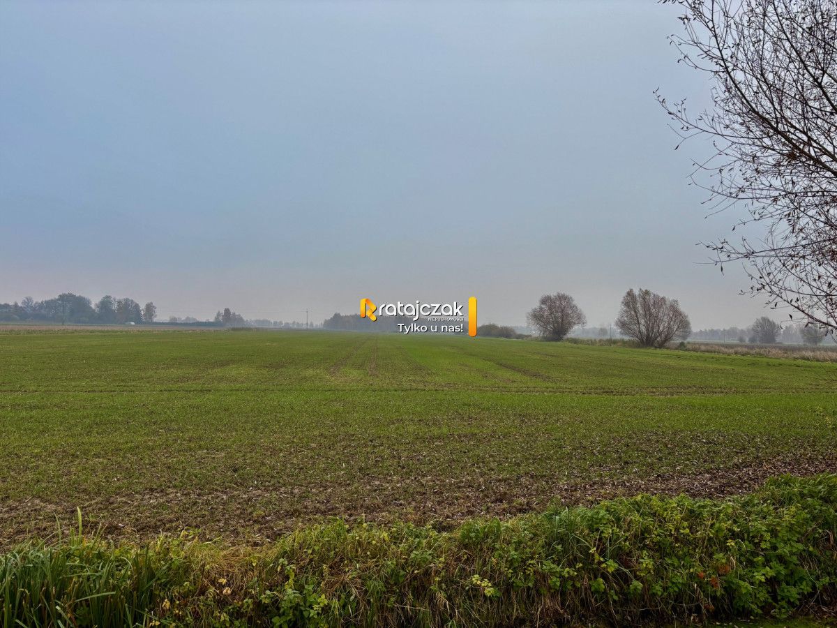 Działka budowlana Drewnica, ul. Wierzbowa. Zdjęcie 3
