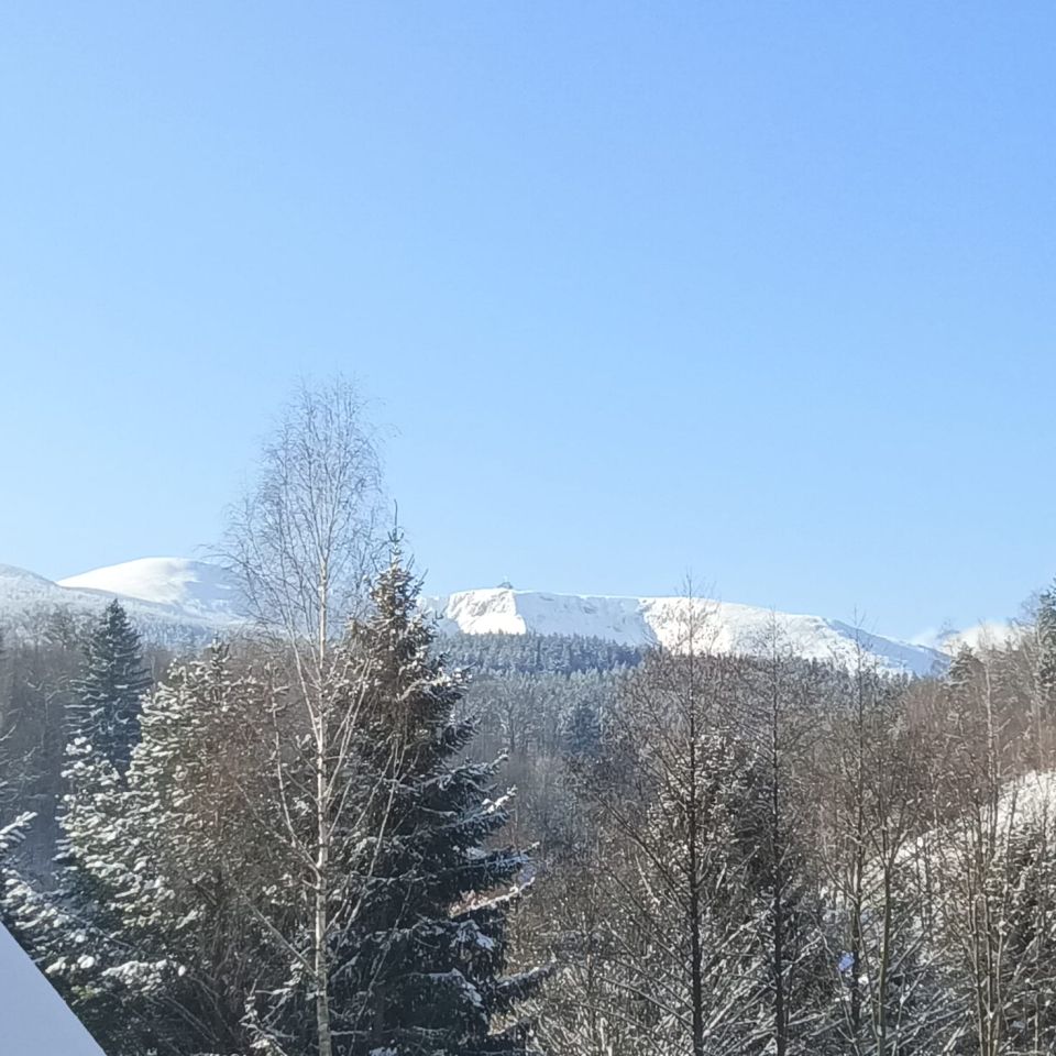 dom wolnostojący, 6 pokoi Jelenia Góra Jagniątków, ul. Michałowicka. Zdjęcie 14