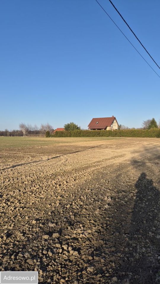 Działka budowlana Jabłonna Pierwsza. Zdjęcie 6