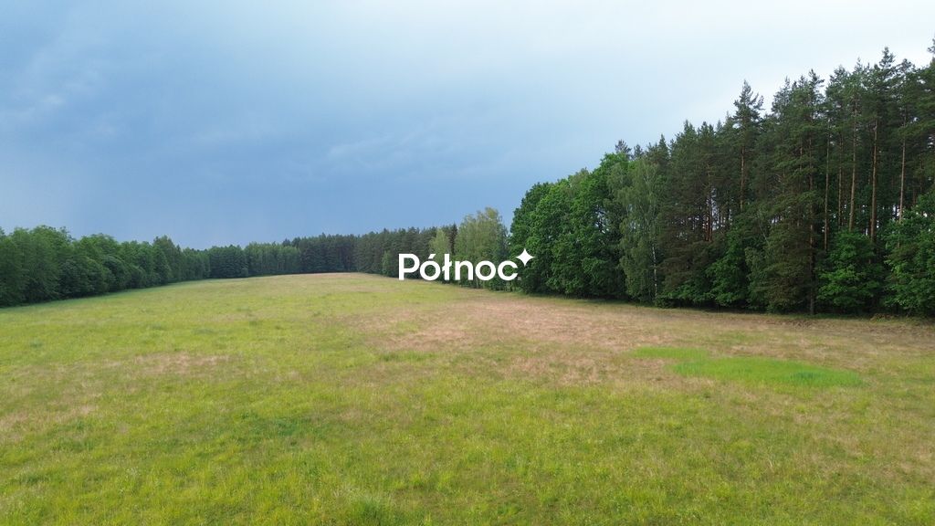 Działka leśna Makosieje. Zdjęcie 6