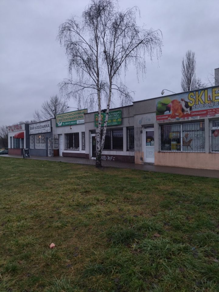 Lokal Łódź Polesie, ul. Janusza Kusocińskiego. Zdjęcie 2