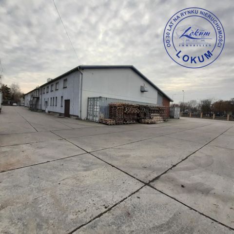 Lokal Leszno. Zdjęcie 7