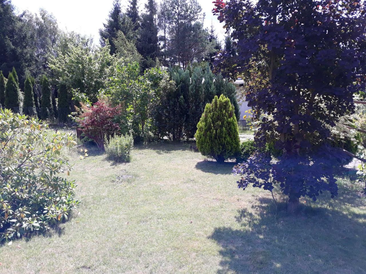 Działka rod Łódź Polesie. Zdjęcie 5