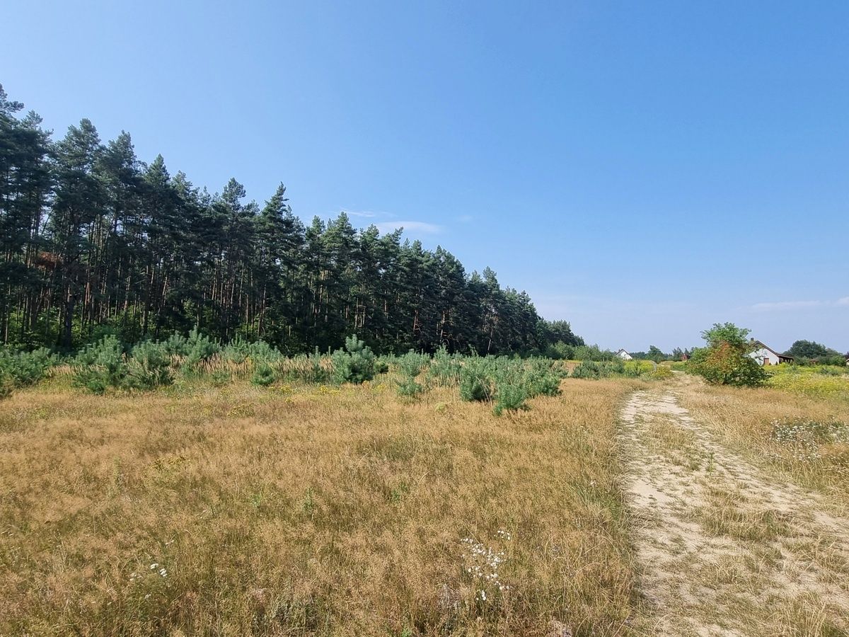 Działka budowlana Bagno. Zdjęcie 11