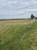 Działka rolno-budowlana Skała, ul. Marianów. Zdjęcie 1