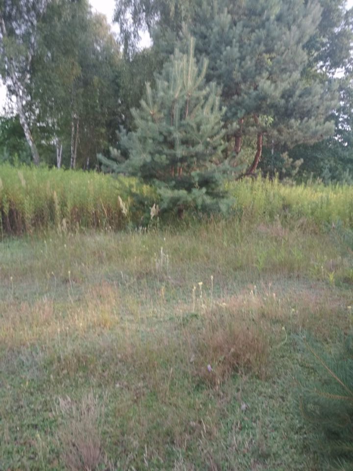 Działka rekreacyjna Rumunki Tupadelskie. Zdjęcie 4